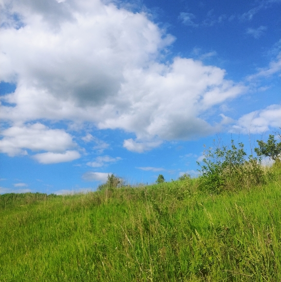 Closet Closing- OFFERS WELCOME - 20% GOES TO POSH ! SELLING CLOSET 📌 - Picture 10 of 16